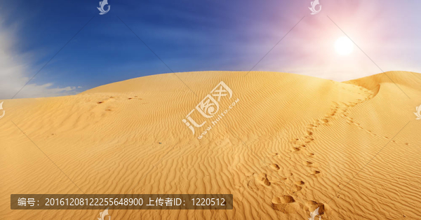 Sahara沙丘