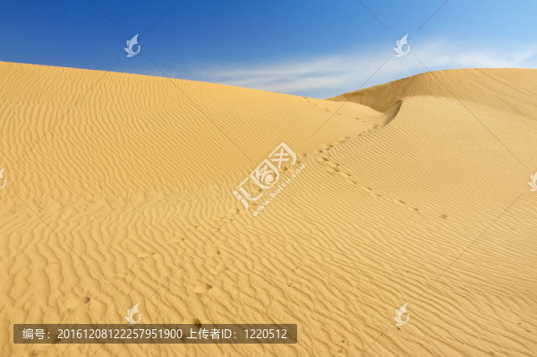 Sahara沙丘