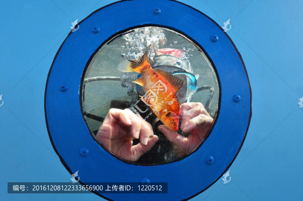 海洋運動-水肺潛水