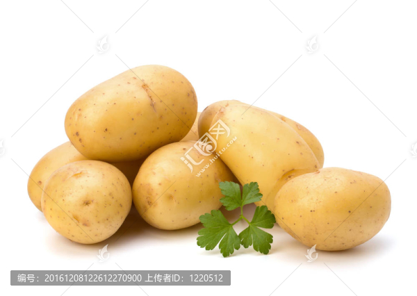 新土豆綠歐芹