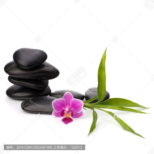 禪意平衡。水療與保健概念。