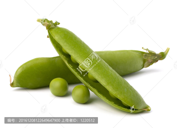 新鮮青豆莢