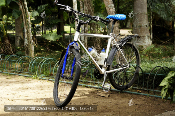 自行車(chē)