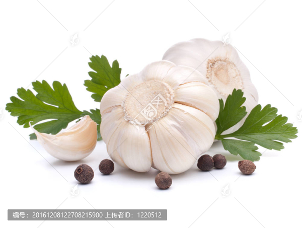 大蒜鱗莖和歐芹葉