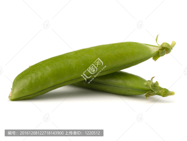 新鮮青豆莢