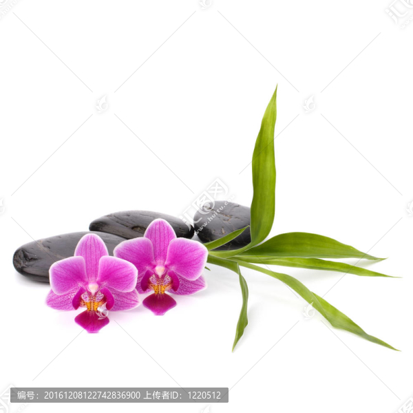 鵝卵石路。水療與保健概念。