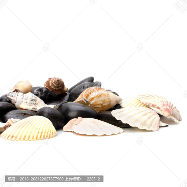 海灘元素背景