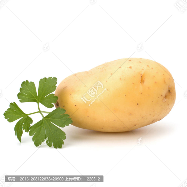 新土豆綠歐芹