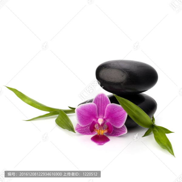 禪意平衡。水療與保健概念。