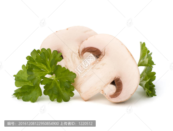 香菇蘑菇和新鮮歐芹