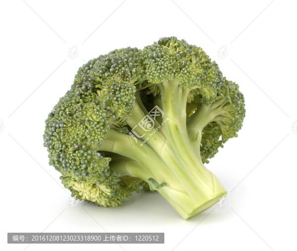 西蘭花蔬菜