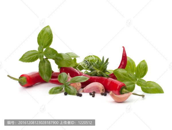 Chili,pepper與香料藥草