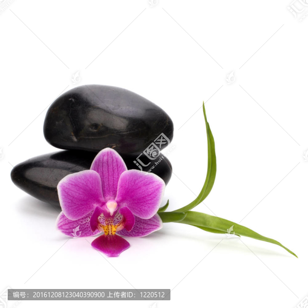 禪意平衡。水療與保健概念。