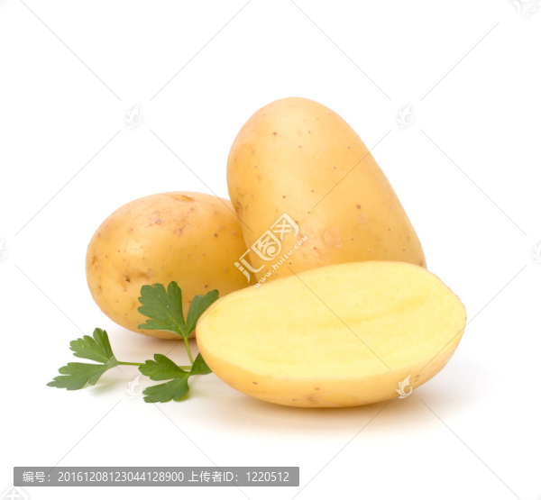 新土豆綠歐芹