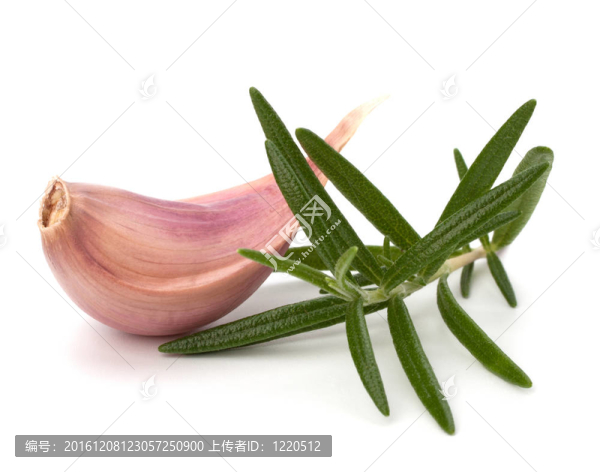 蒜香迷迭香葉
