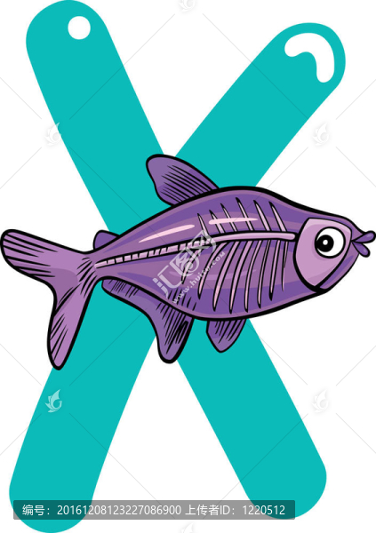 X射線魚