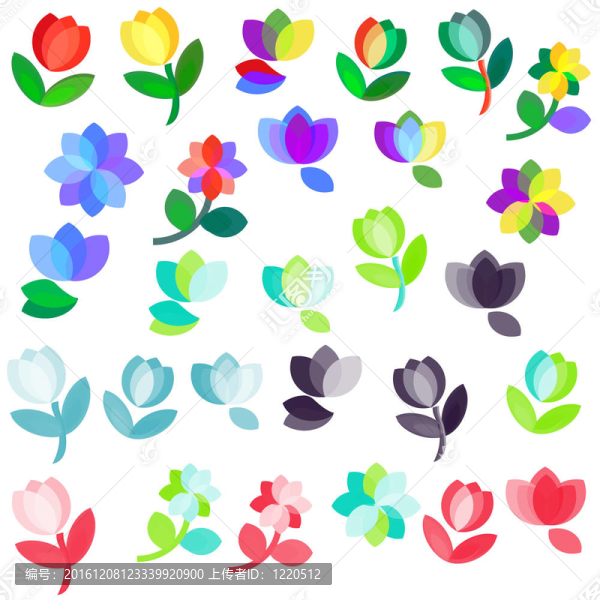 Flowers集
