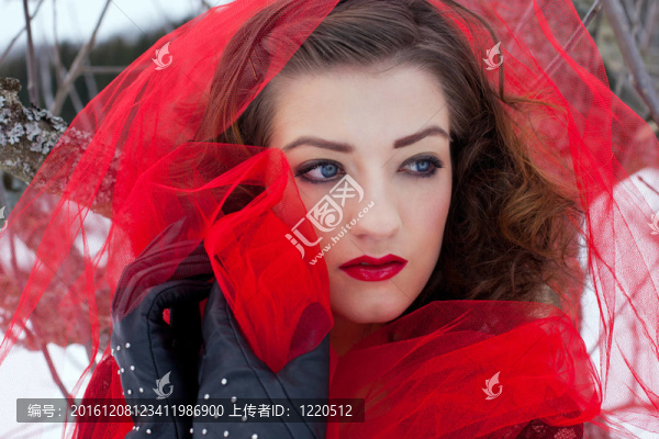 美麗的女人，黑發(fā)和紅色的嘴唇在白雪