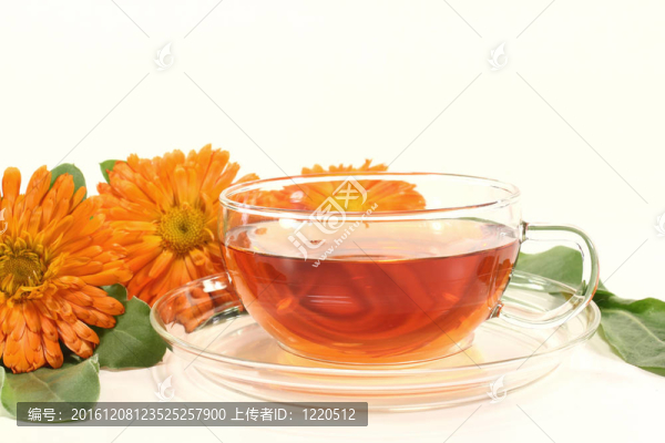金盞花茶