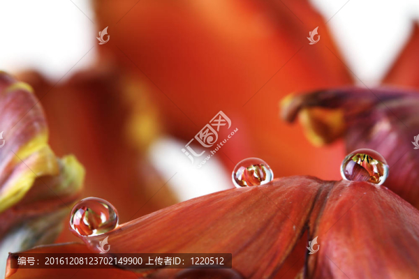 水滴