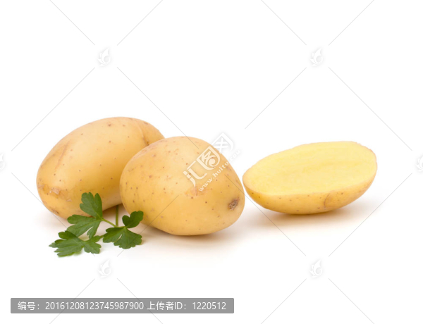 新土豆綠歐芹