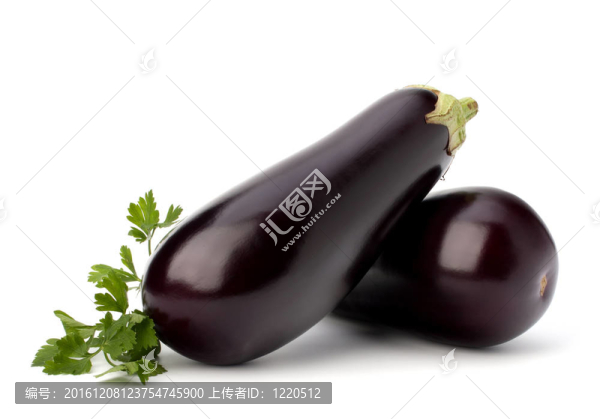 茄子、茄子和香菜葉
