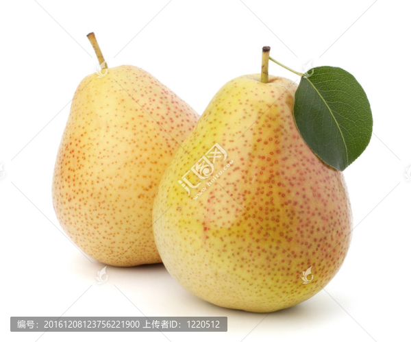 梨果實(shí)