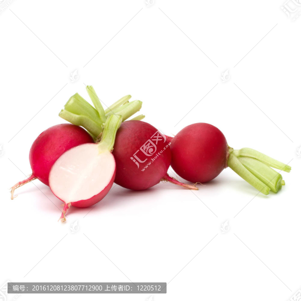 小蘿卜