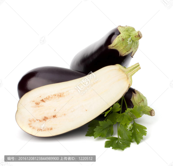茄子、茄子和香菜葉