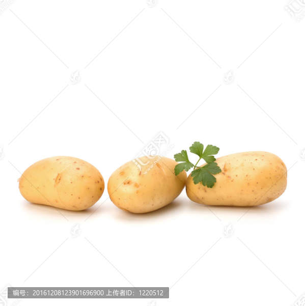 新土豆綠歐芹