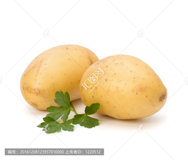 新土豆綠歐芹