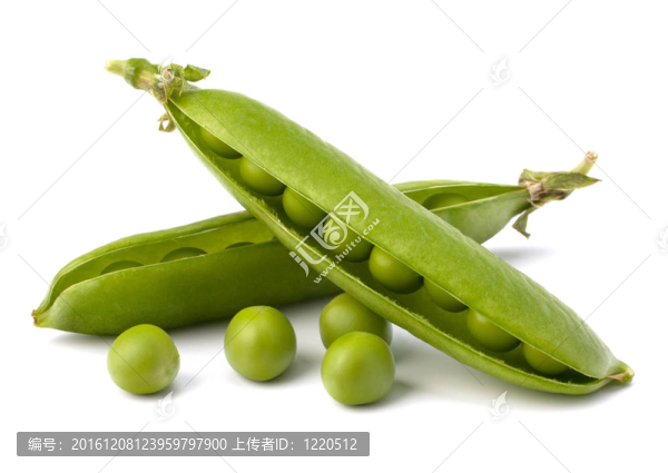 新鮮青豆莢
