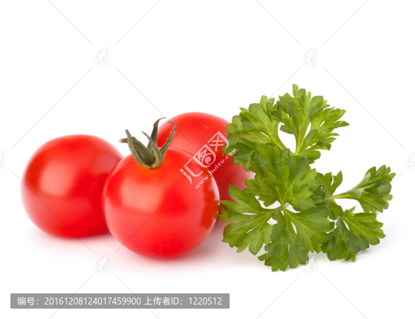 小櫻桃番茄和歐芹香料