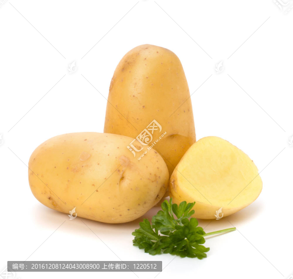 新土豆綠歐芹