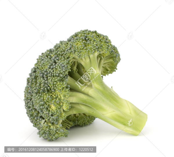 西蘭花蔬菜