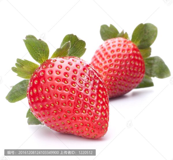 草莓