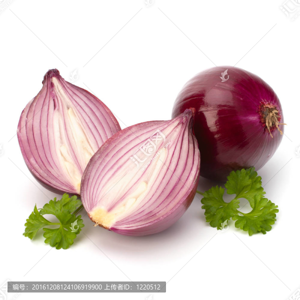 紅洋蔥切片和新鮮香菜靜物
