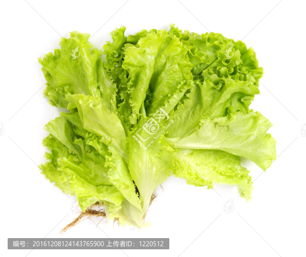 新鮮的生菜沙拉