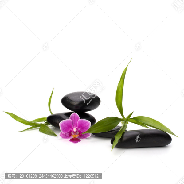 禪意平衡。水療與保健概念。