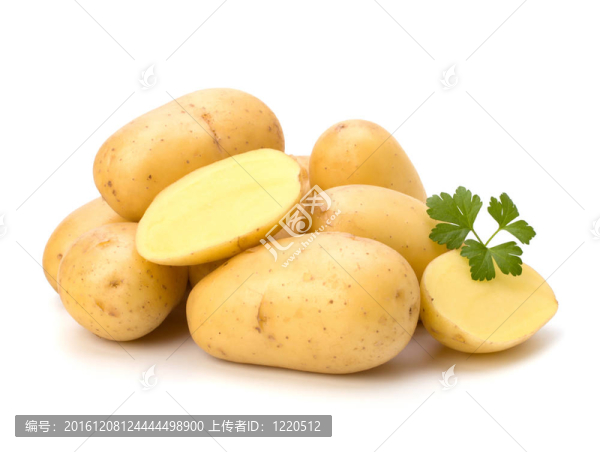 新土豆綠歐芹