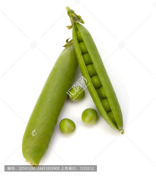 新鮮青豆莢