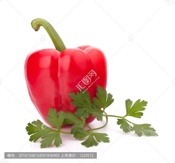 白底紅辣椒