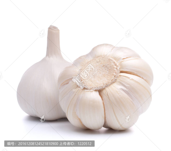 大蒜鱗莖