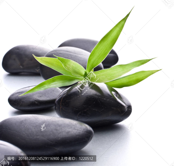 禪石。石材水療與保健理念。