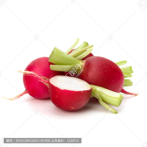 小蘿卜