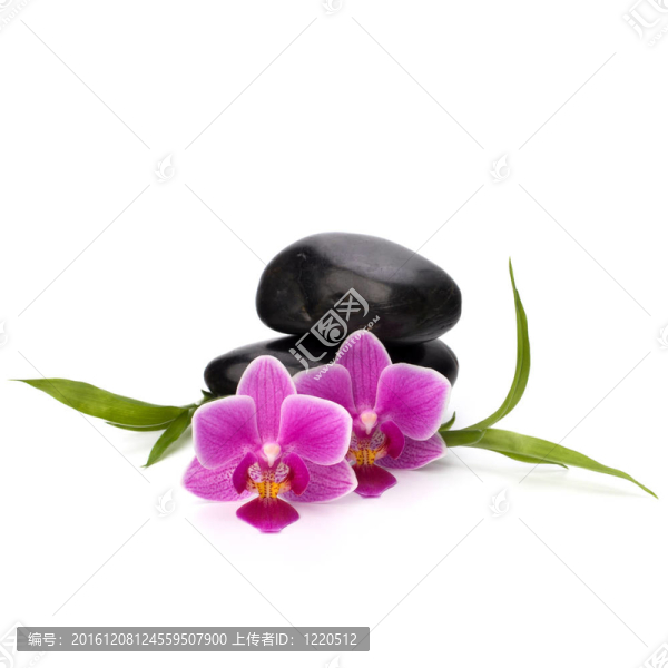 禪意平衡。水療與保健概念。