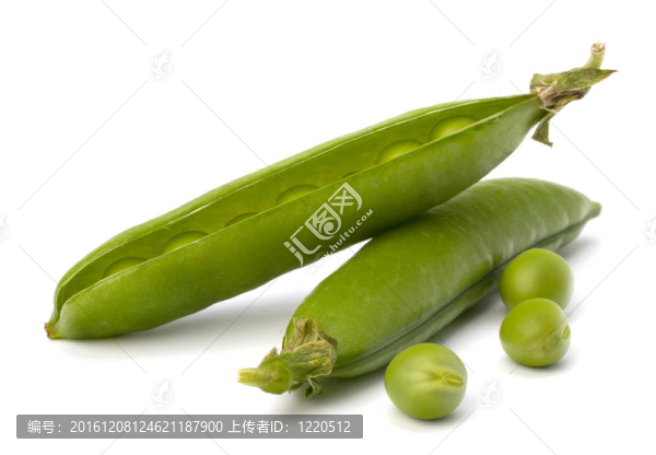 新鮮青豆莢