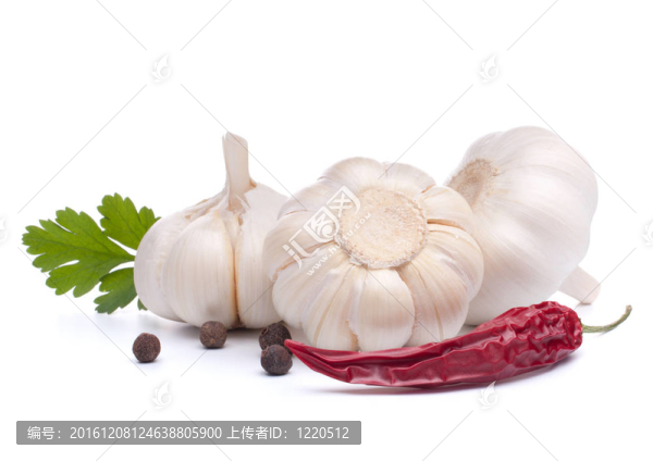 大蒜鱗莖