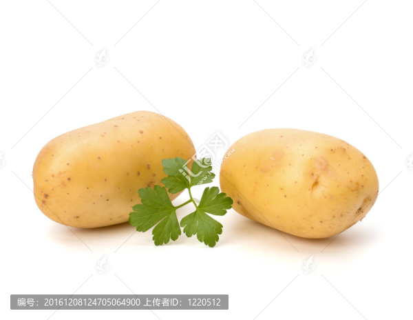 新土豆綠歐芹