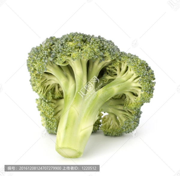 西蘭花蔬菜